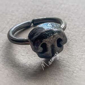 Anillo Nariz