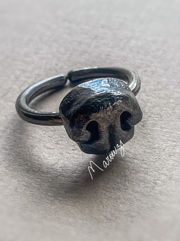 Anillo Nariz