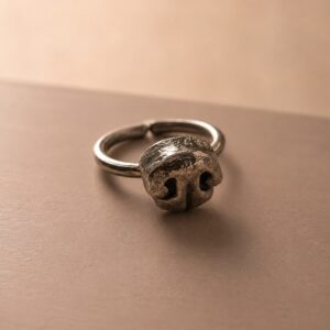 Anillo Nariz