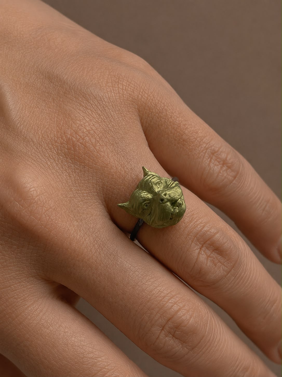 Anillo Retrato